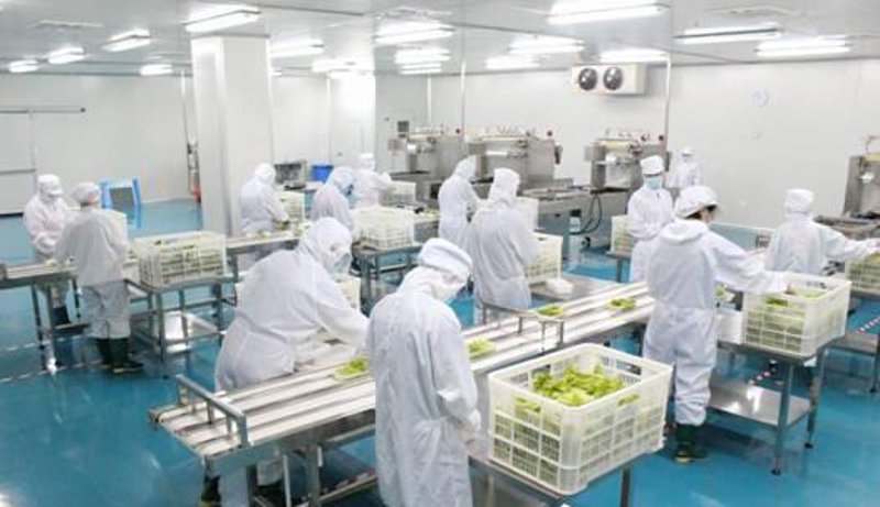 中央厨房：餐饮行业的数字化革命